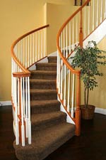Carpeted Staircase with wood flooring